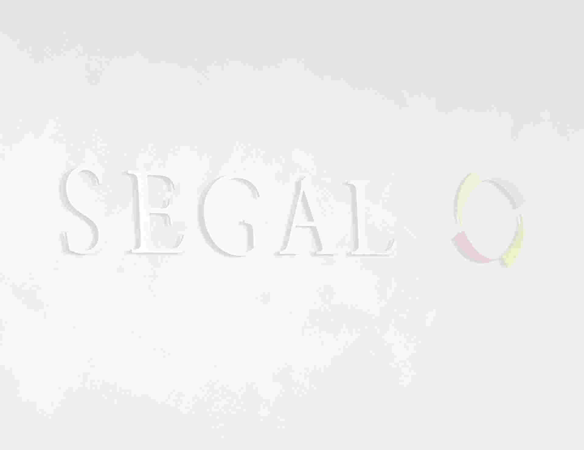 Segal LLP - SegalLLP_5-2_6