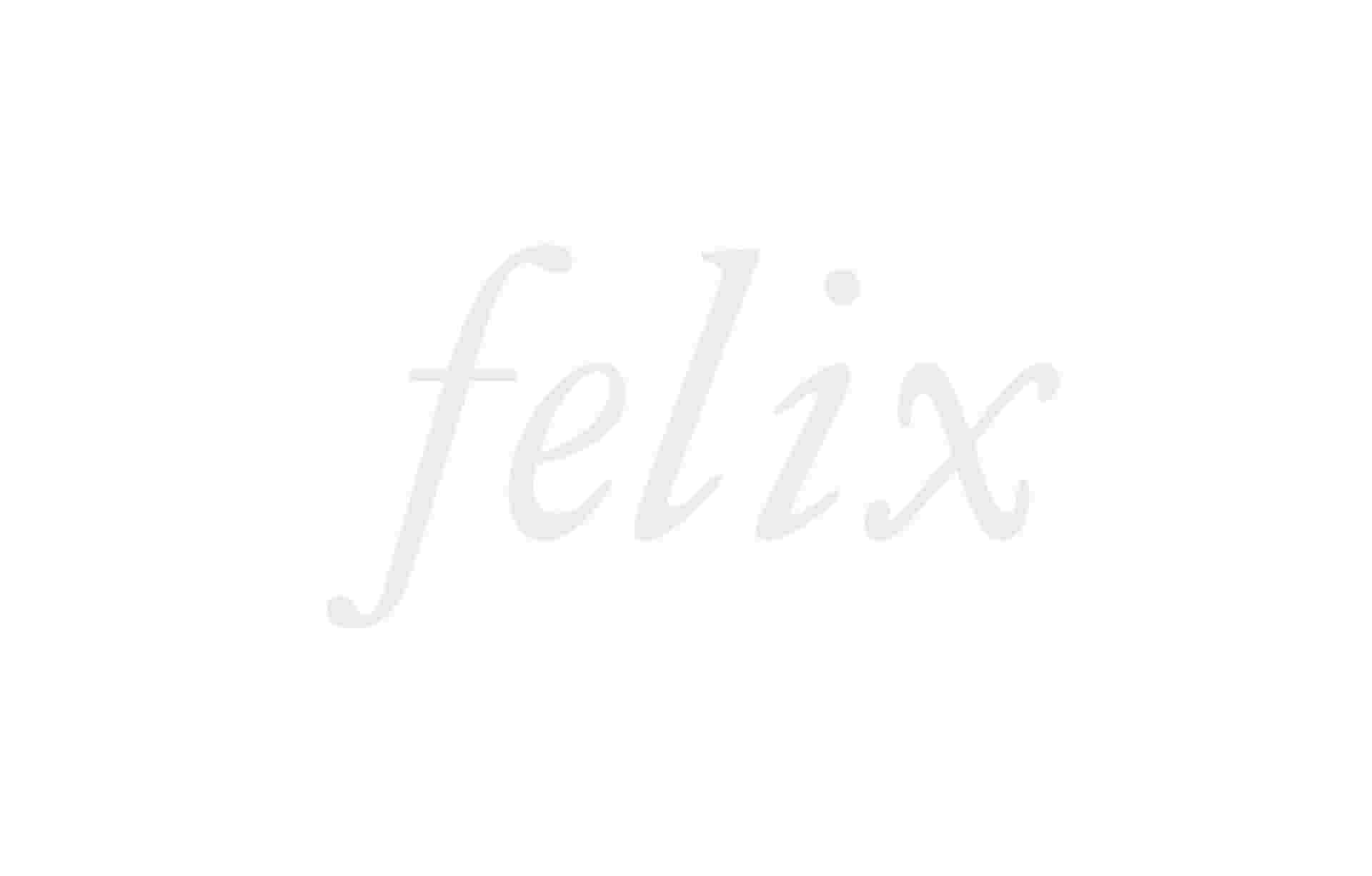 Identity / Naming - identity_felix_logo_2400