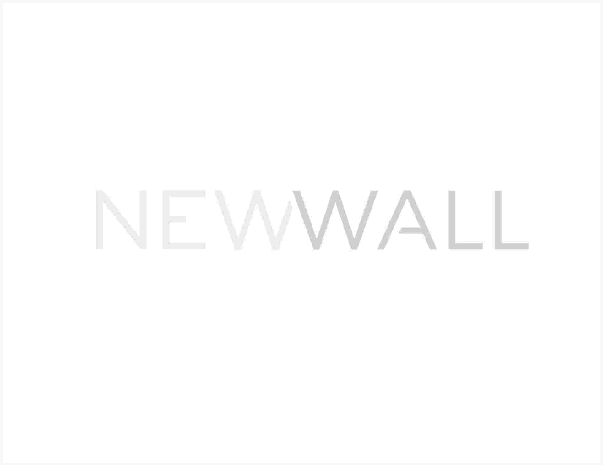 New Wall - newwall-2-6-1